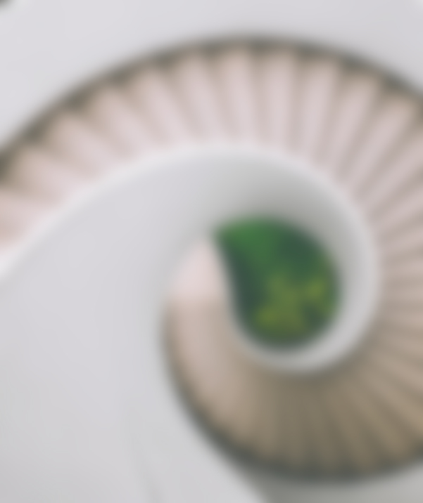 <mark>Aenean</mark> vulputate